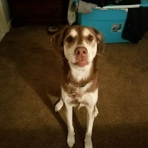 Meet your Posher, Anne